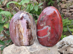 Polished Red Podocarpus Petrified Wood Standing Display Pieces x 2 From Mahajanga, Madagascar - Toprock Gemstones and Minerals 