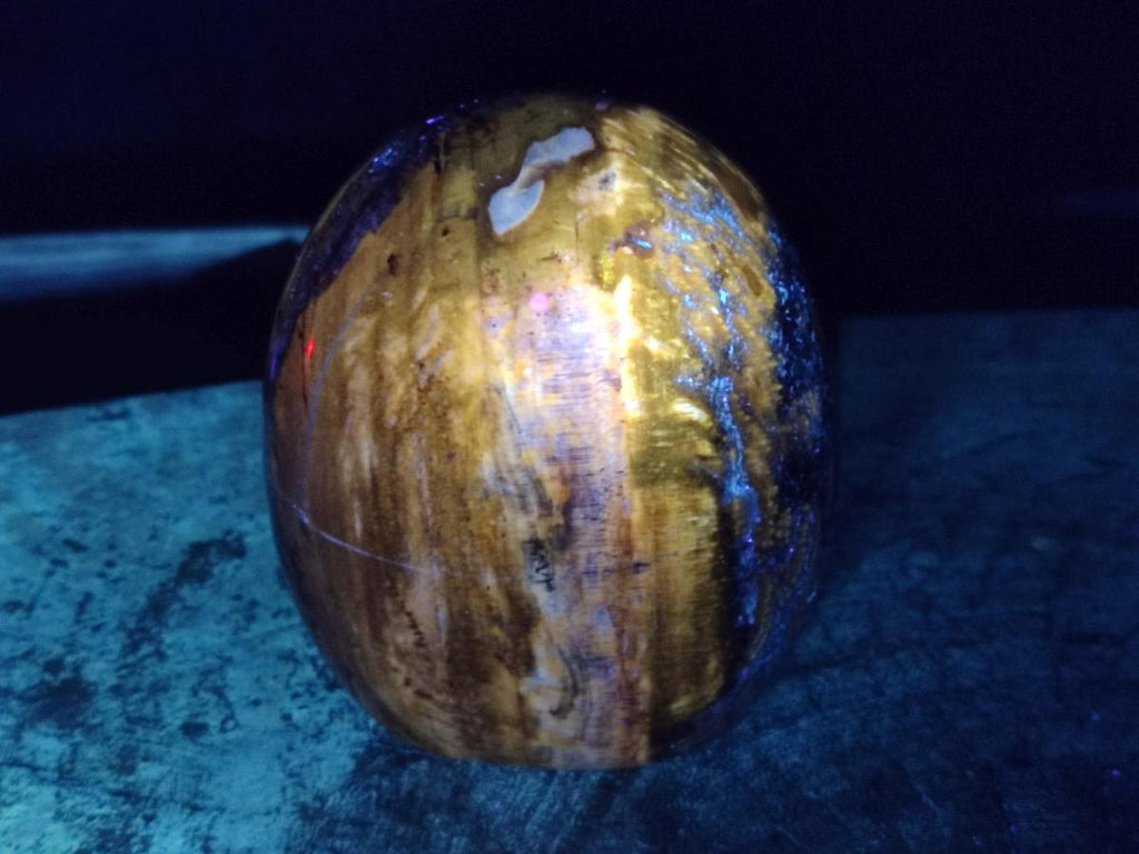 Polished Red Podocarpus Petrified Wood Standing Display Pieces x 2 From Mahajanga, Madagascar - Toprock Gemstones and Minerals 