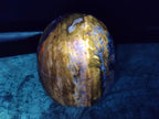 Polished Red Podocarpus Petrified Wood Standing Display Pieces x 2 From Mahajanga, Madagascar - Toprock Gemstones and Minerals 
