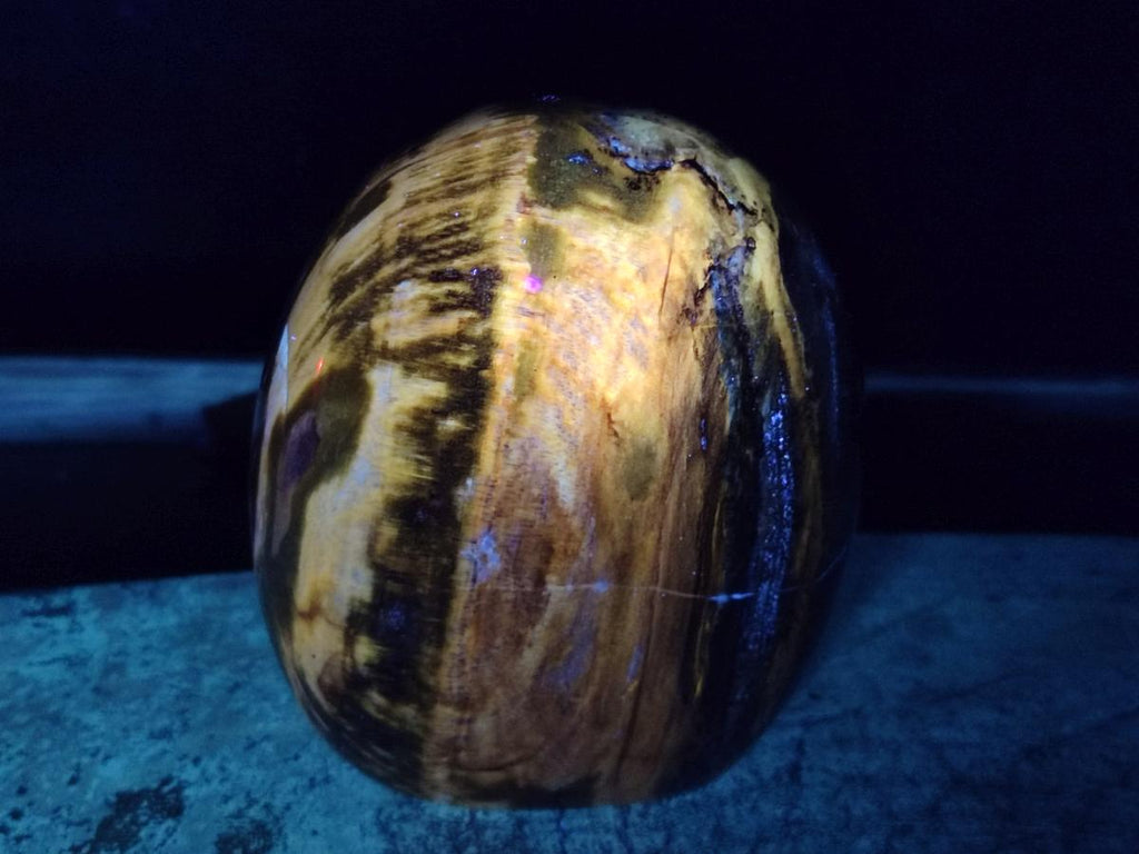 Polished Red Podocarpus Petrified Wood Standing Display Pieces x 2 From Mahajanga, Madagascar - Toprock Gemstones and Minerals 