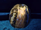Polished Red Podocarpus Petrified Wood Standing Display Pieces x 2 From Mahajanga, Madagascar - Toprock Gemstones and Minerals 