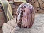 Polished Red Podocarpus Petrified Wood Standing Display Pieces x 2 From Mahajanga, Madagascar - Toprock Gemstones and Minerals 