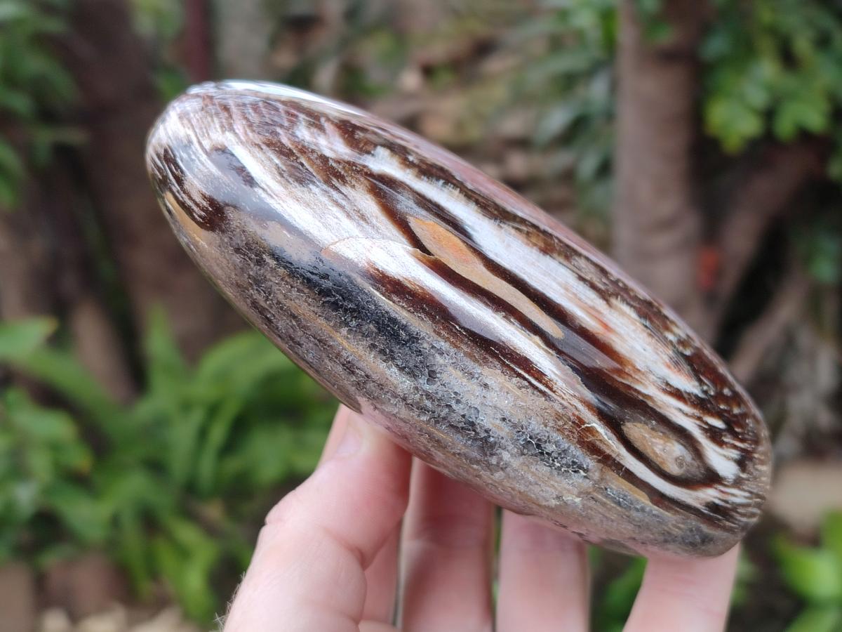 Polished Red Podocarpus Petrified Wood Standing Display Pieces x 2 From Mahajanga, Madagascar - Toprock Gemstones and Minerals 