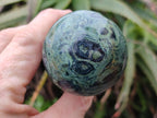 Polished Stromatolite "Kambamba Jasper" Mushrooms x 6 From Katsepy, Madagascar - Toprock Gemstones and Minerals 