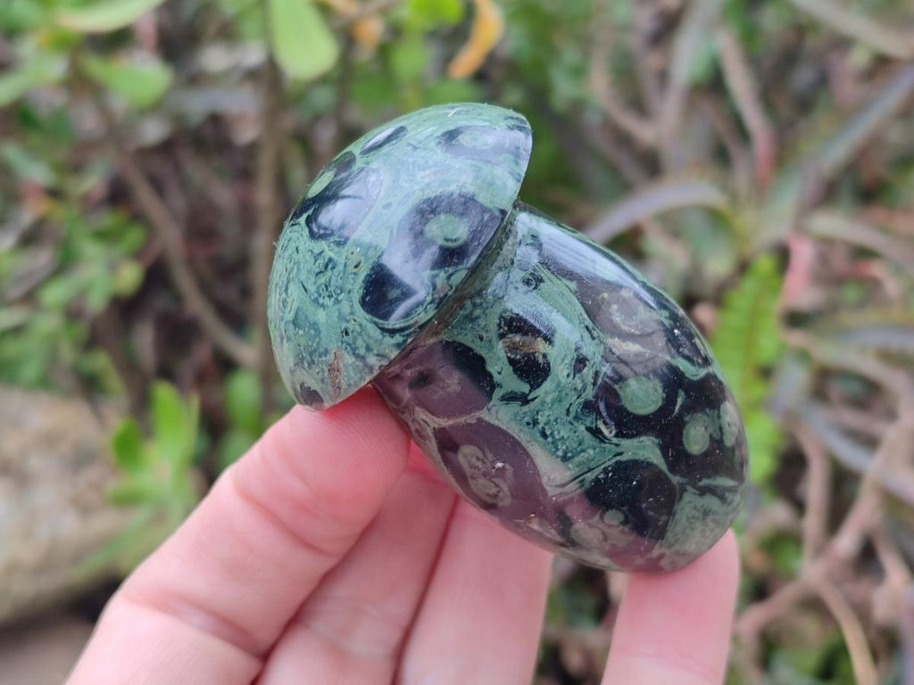 Polished Stromatolite "Kambamba Jasper" Mushrooms x 6 From Katsepy, Madagascar - Toprock Gemstones and Minerals 