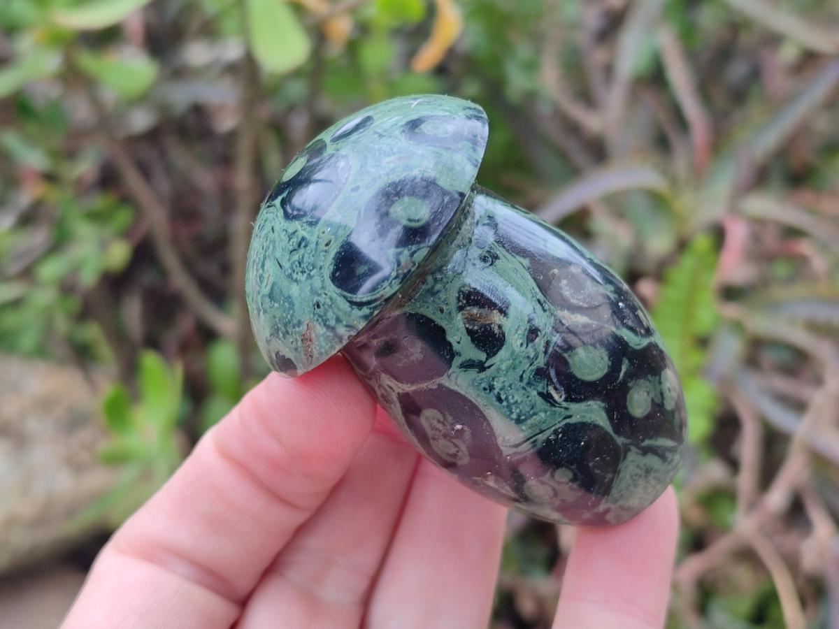 Polished Stromatolite "Kambamba Jasper" Mushrooms x 6 From Katsepy, Madagascar - Toprock Gemstones and Minerals 