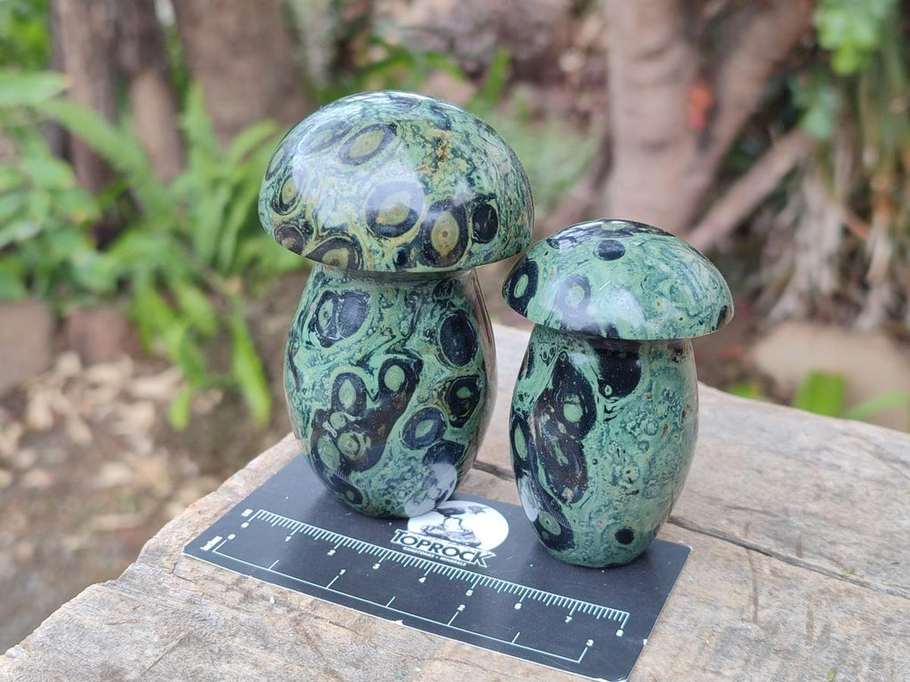 Polished Stromatolite "Kambamba Jasper" Mushrooms x 6 From Katsepy, Madagascar - Toprock Gemstones and Minerals 