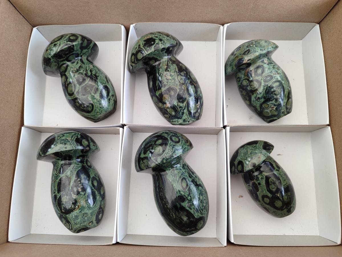 Polished Stromatolite "Kambamba Jasper" Mushrooms x 6 From Katsepy, Madagascar - Toprock Gemstones and Minerals 
