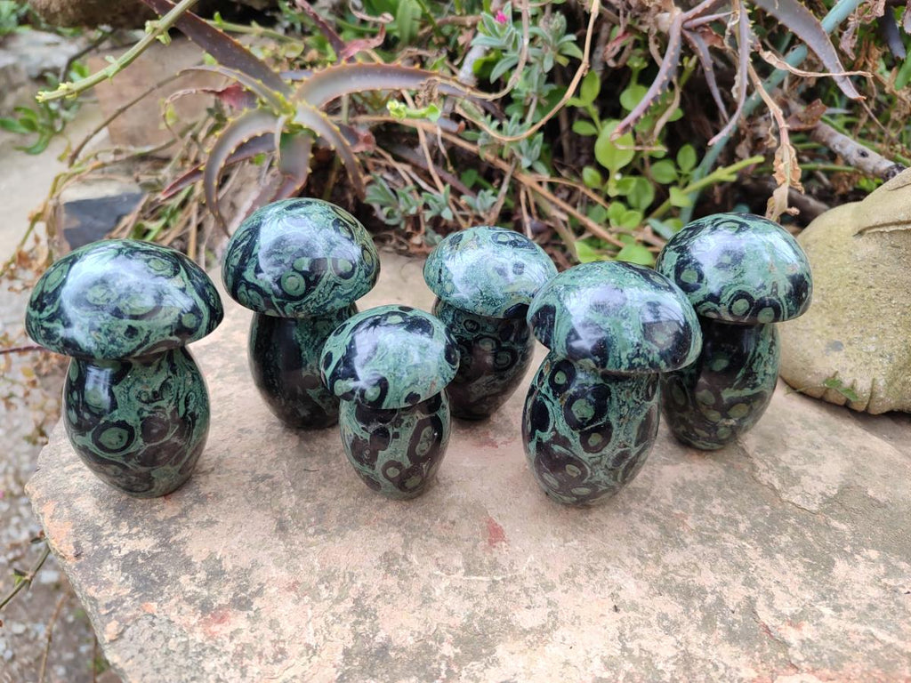 Polished Stromatolite "Kambamba Jasper" Mushrooms x 6 From Katsepy, Madagascar - Toprock Gemstones and Minerals 