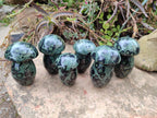 Polished Stromatolite "Kambamba Jasper" Mushrooms x 6 From Katsepy, Madagascar - Toprock Gemstones and Minerals 