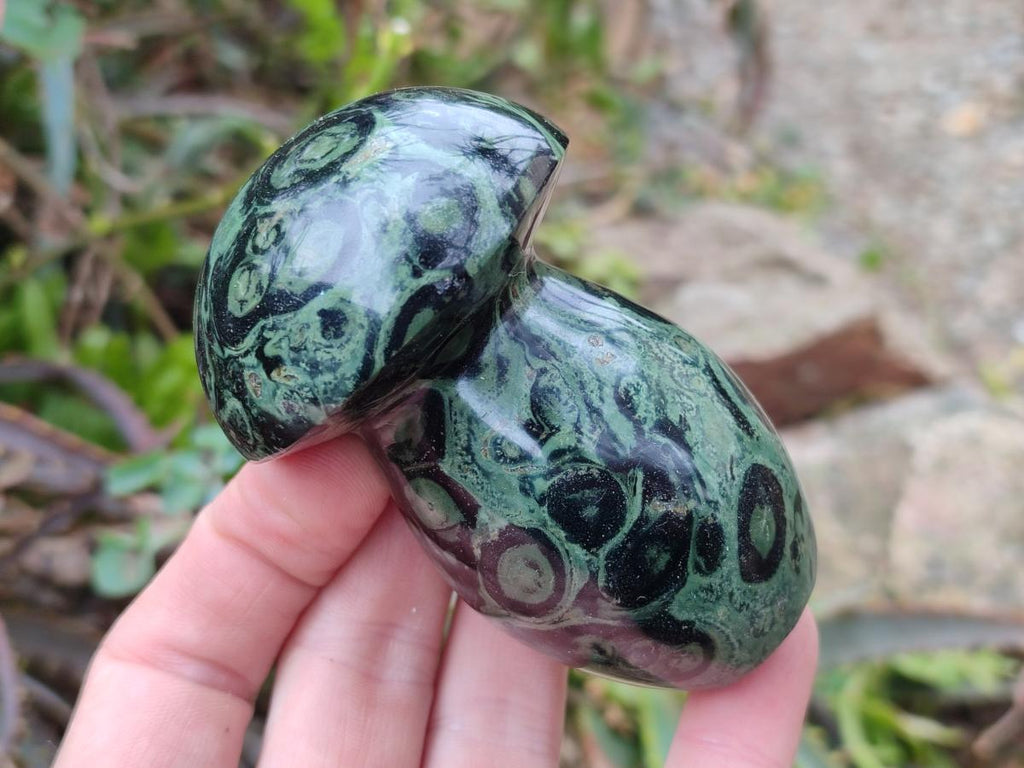 Polished Stromatolite "Kambamba Jasper" Mushrooms x 6 From Katsepy, Madagascar - Toprock Gemstones and Minerals 