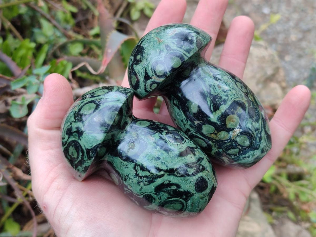 Polished Stromatolite "Kambamba Jasper" Mushrooms x 6 From Katsepy, Madagascar - Toprock Gemstones and Minerals 