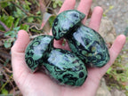 Polished Stromatolite "Kambamba Jasper" Mushrooms x 6 From Katsepy, Madagascar - Toprock Gemstones and Minerals 