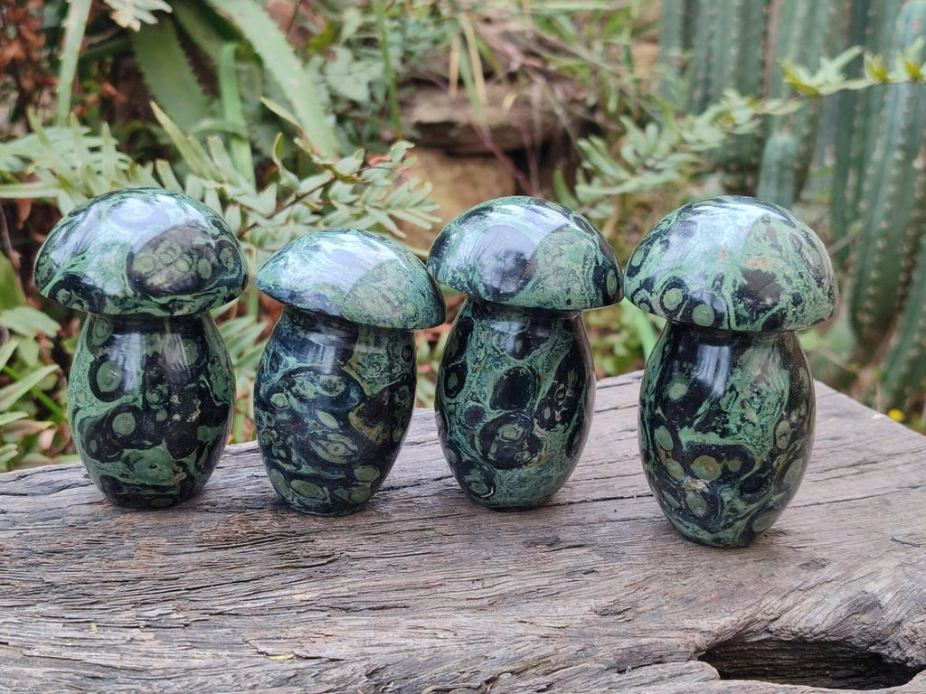 Polished Stromatolite "Kambamba Jasper" Mushrooms x 6 From Katsepy, Madagascar - Toprock Gemstones and Minerals 