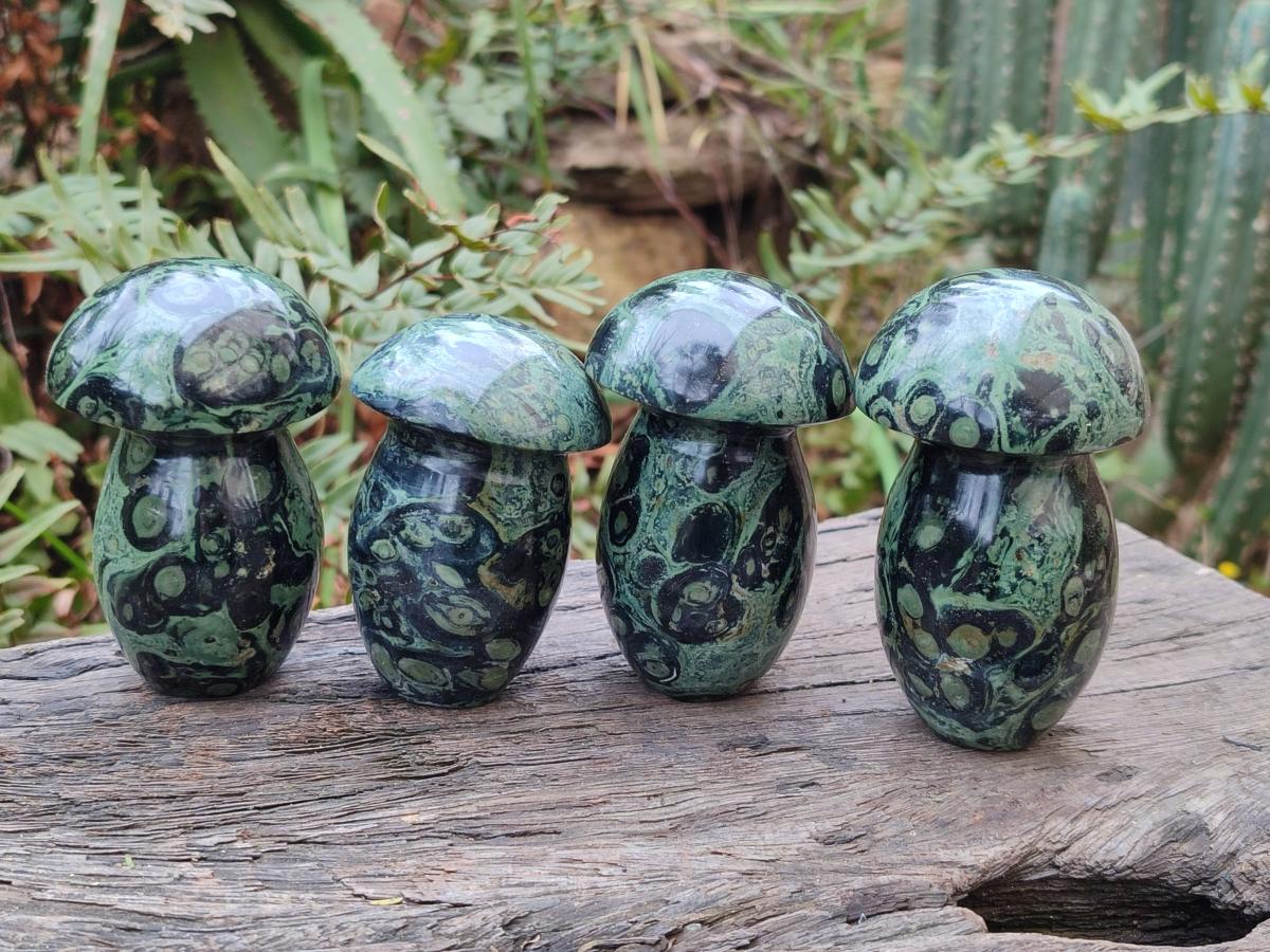 Polished Stromatolite "Kambamba Jasper" Mushrooms x 6 From Katsepy, Madagascar - Toprock Gemstones and Minerals 