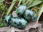 Polished Stromatolite "Kambamba Jasper" Mushrooms x 6 From Katsepy, Madagascar - Toprock Gemstones and Minerals 