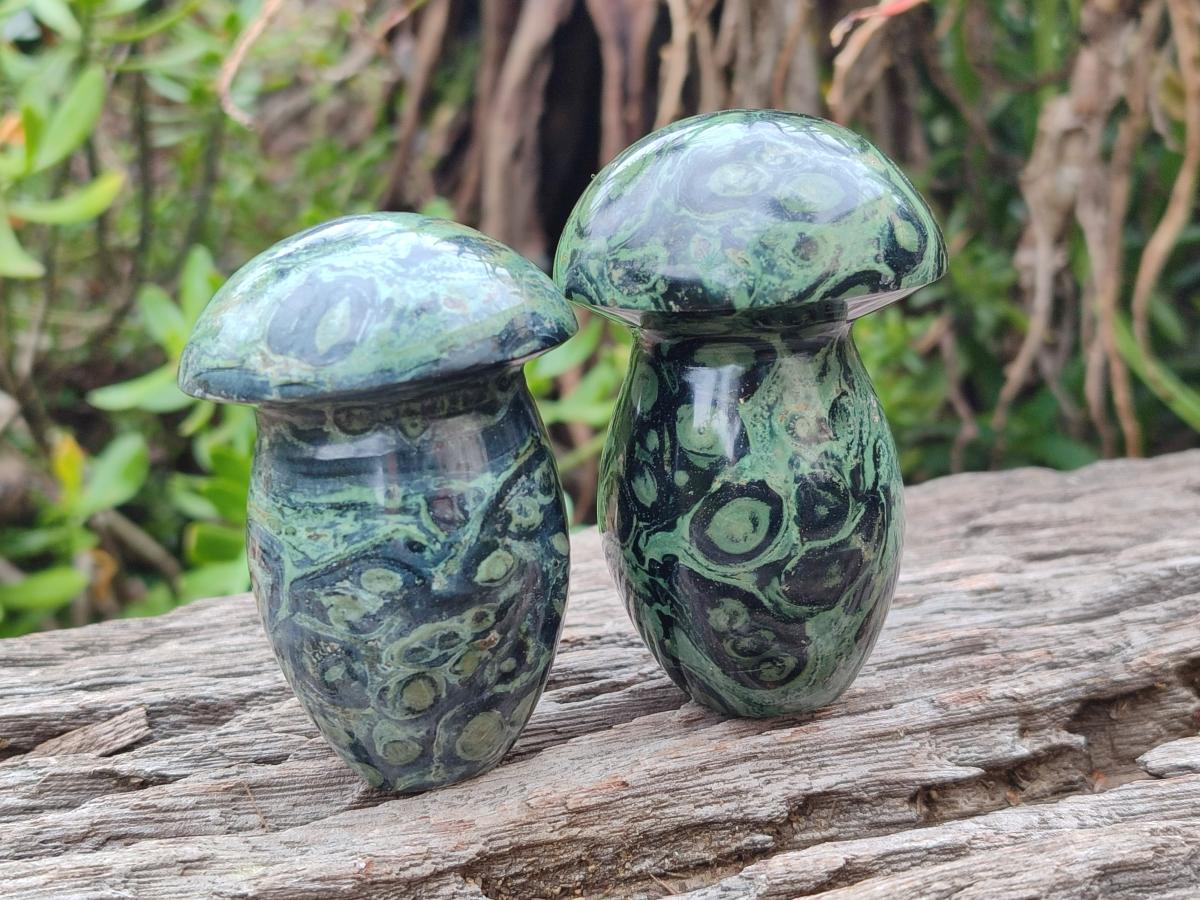 Polished Stromatolite "Kambamba Jasper" Mushrooms x 6 From Katsepy, Madagascar - Toprock Gemstones and Minerals 