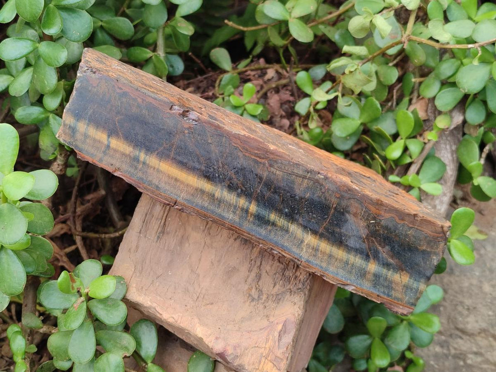 Natural XL Golden Blue Tigers Eye Slab x 1 From Prieska, South Africa - Toprock Gemstones and Minerals 