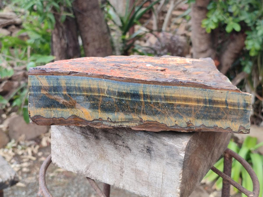Natural XL Golden Blue Tigers Eye Slab x 1 From Prieska, South Africa - Toprock Gemstones and Minerals 