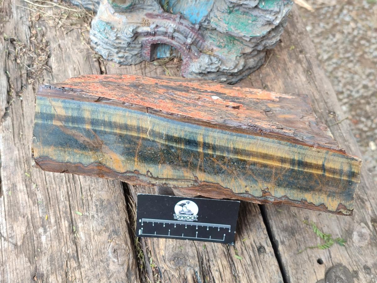 Natural XL Golden Blue Tigers Eye Slab x 1 From Prieska, South Africa - Toprock Gemstones and Minerals 