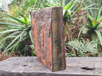 Natural XL Golden Blue Tigers Eye Slab x 1 From Prieska, South Africa - Toprock Gemstones and Minerals 