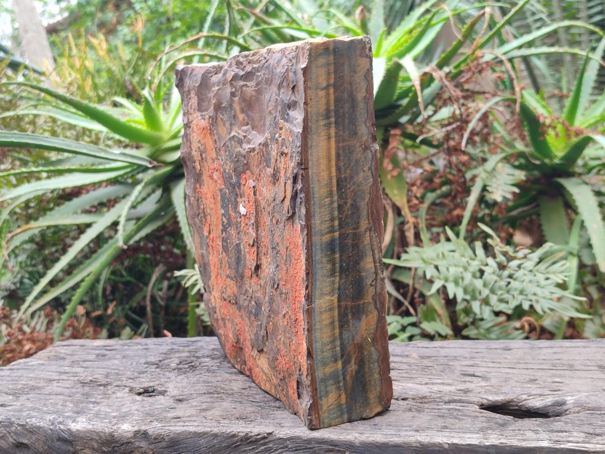 Natural XL Golden Blue Tigers Eye Slab x 1 From Prieska, South Africa - Toprock Gemstones and Minerals 
