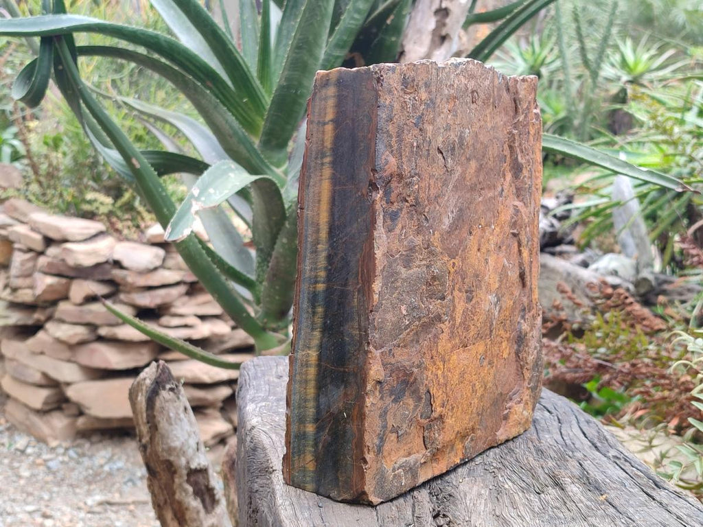 Natural XL Golden Blue Tigers Eye Slab x 1 From Prieska, South Africa - Toprock Gemstones and Minerals 