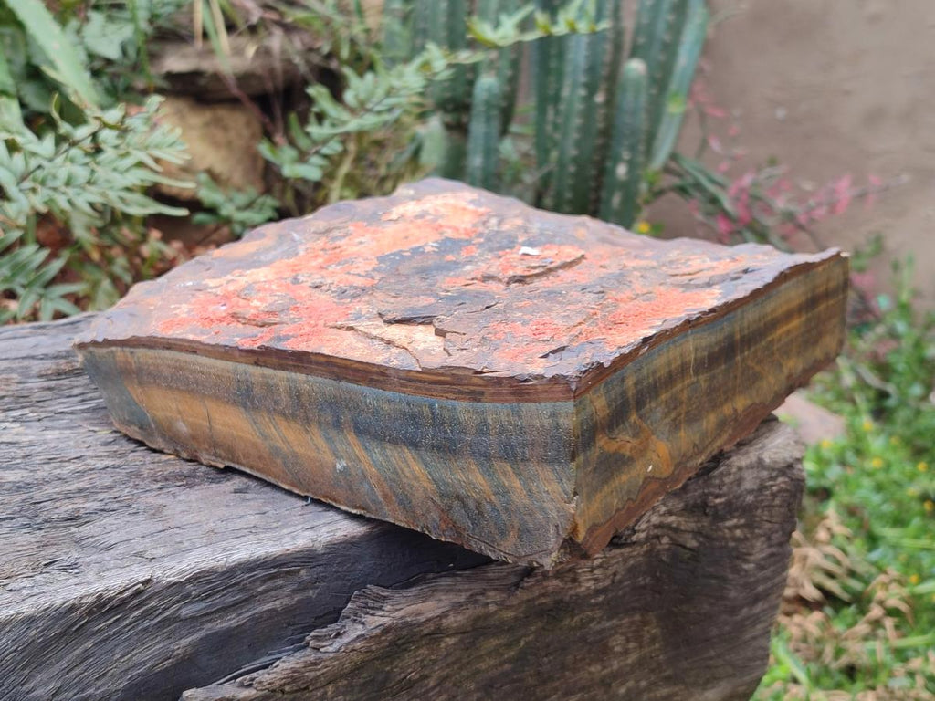Natural XL Golden Blue Tigers Eye Slab x 1 From Prieska, South Africa - Toprock Gemstones and Minerals 