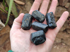 Natural Schorl Black Tourmaline Crystals x 35 From Zimbabwe - Toprock Gemstones and Minerals 