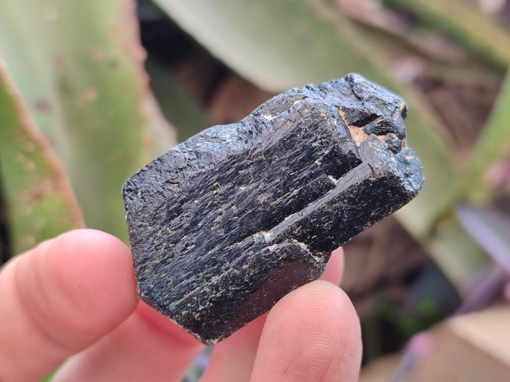 Natural Schorl Black Tourmaline Crystals x 35 From Zimbabwe - Toprock Gemstones and Minerals 