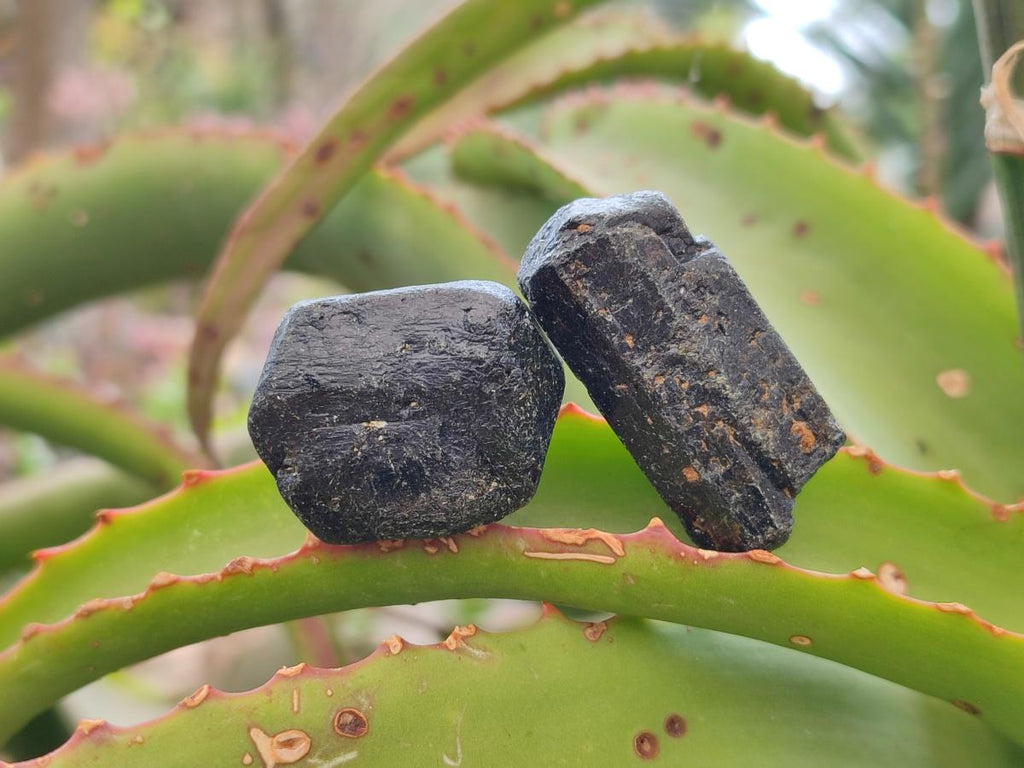 Natural Schorl Black Tourmaline Crystals x 35 From Zimbabwe - Toprock Gemstones and Minerals 