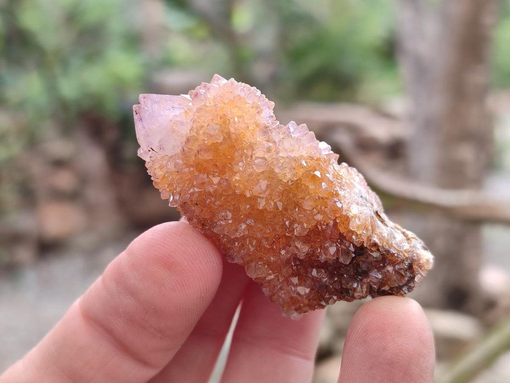 Natural Spirit Amethyst Crystals x 35 From Boekenhouthoek, South Africa - Toprock Gemstones and Minerals 