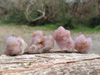 Natural Spirit Amethyst Crystals x 35 From Boekenhouthoek, South Africa - Toprock Gemstones and Minerals 
