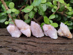 Natural Spirit Amethyst Crystals x 35 From Boekenhouthoek, South Africa - Toprock Gemstones and Minerals 
