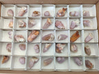 Natural Spirit Amethyst Crystals x 35 From Boekenhouthoek, South Africa - Toprock Gemstones and Minerals 