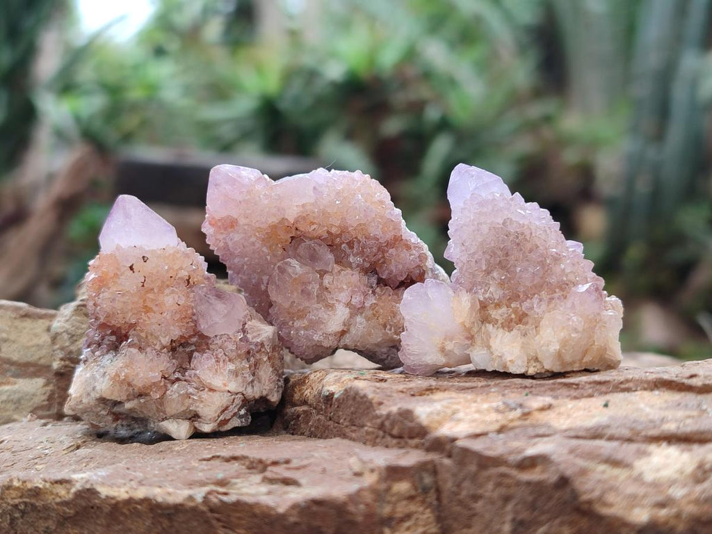 Natural Spirit Amethyst Crystals x 35 From Boekenhouthoek, South Africa - Toprock Gemstones and Minerals 