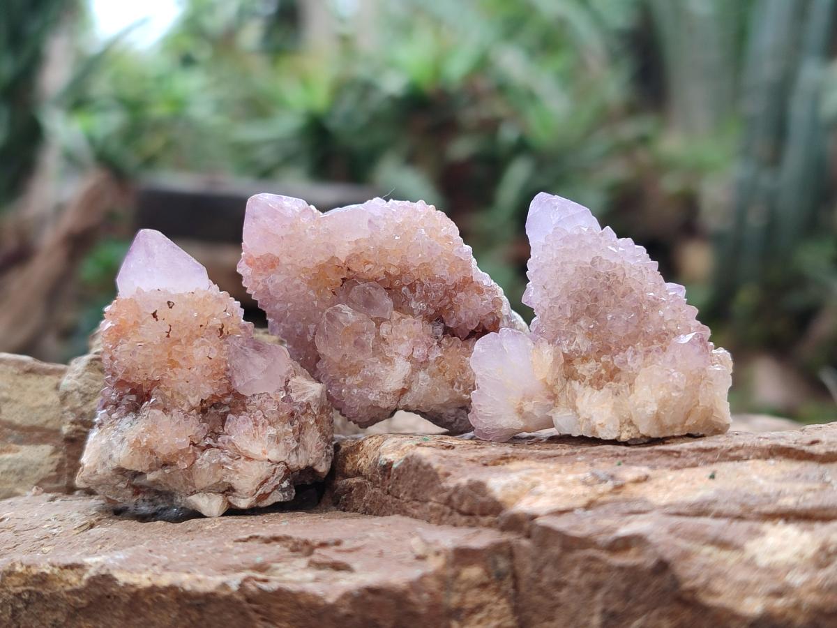 Natural Spirit Amethyst Crystals x 35 From Boekenhouthoek, South Africa - Toprock Gemstones and Minerals 