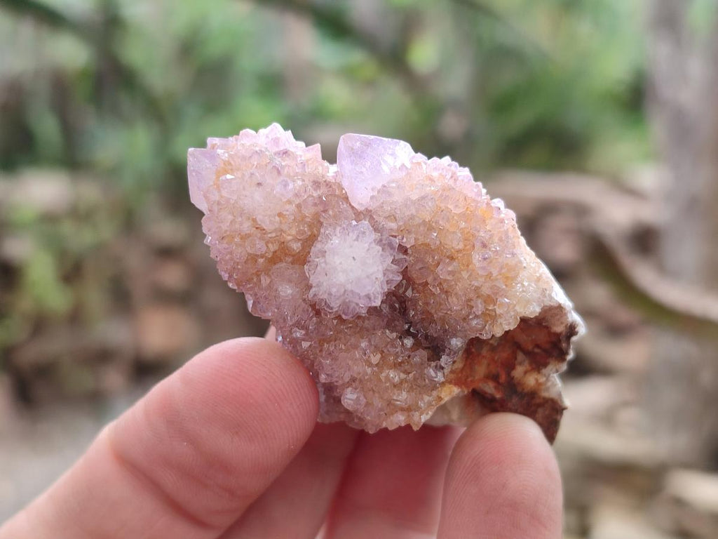 Natural Spirit Amethyst Crystals x 35 From Boekenhouthoek, South Africa - Toprock Gemstones and Minerals 