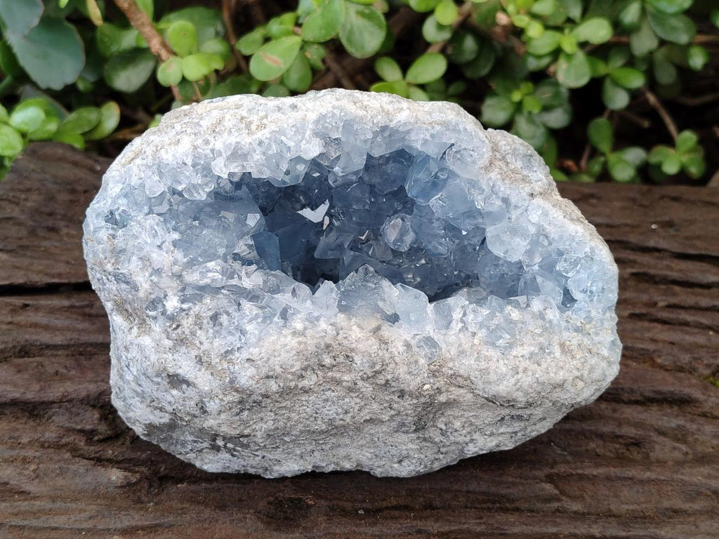 Natural Large Blue Celestite Geode Specimen x 1 From Sakoany, Madagascar - Toprock Gemstones and Minerals 