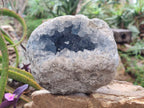 Natural Large Blue Celestite Geode Specimen x 1 From Sakoany, Madagascar - Toprock Gemstones and Minerals 