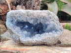 Natural Large Blue Celestite Geode Specimen x 1 From Sakoany, Madagascar - Toprock Gemstones and Minerals 