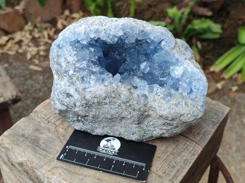 Natural Large Blue Celestite Geode Specimen x 1 From Sakoany, Madagascar - Toprock Gemstones and Minerals 
