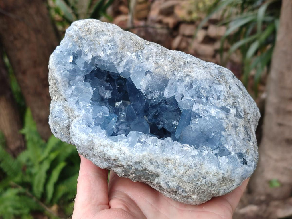 Natural Large Blue Celestite Geode Specimen x 1 From Sakoany, Madagascar - Toprock Gemstones and Minerals 