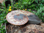 Polished and Natural Opalized Cleoniceras Ammonite Fossil Pairs x 2 From Tulear, Ma - Toprock Gemstones and Minerals 