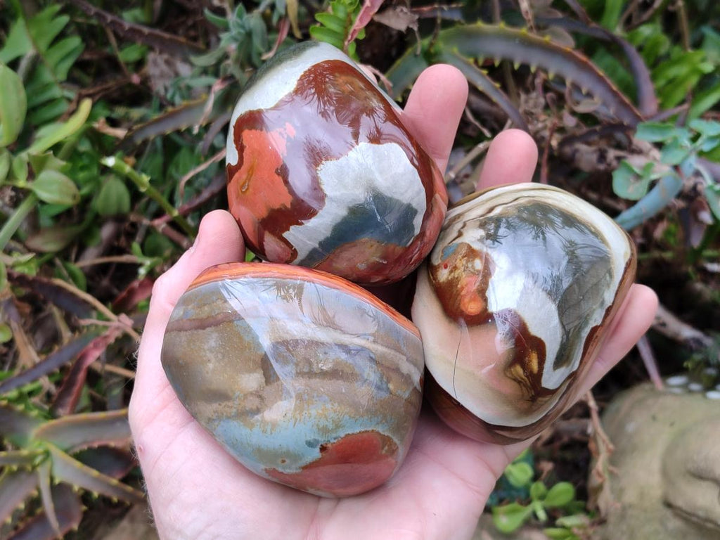 Polished on One Side Polychrome Jasper Nodules x 6 From Androka, Madagascar - Toprock Gemstones and Minerals 