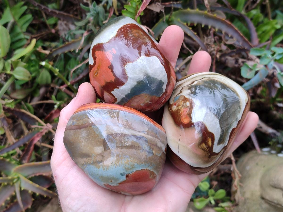 Polished on One Side Polychrome Jasper Nodules x 6 From Androka, Madagascar - Toprock Gemstones and Minerals 