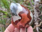 Polished on One Side Polychrome Jasper Nodules x 6 From Androka, Madagascar - Toprock Gemstones and Minerals 