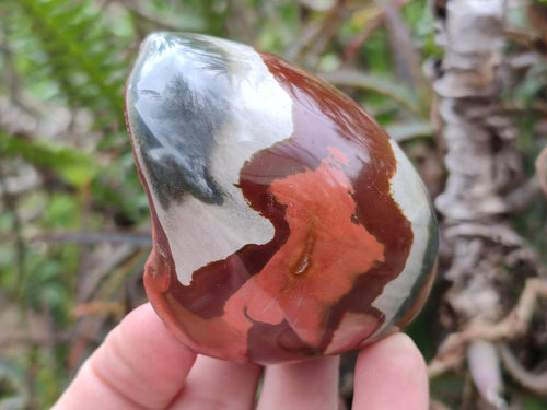 Polished on One Side Polychrome Jasper Nodules x 6 From Androka, Madagascar - Toprock Gemstones and Minerals 