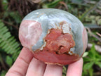 Polished on One Side Polychrome Jasper Nodules x 6 From Androka, Madagascar - Toprock Gemstones and Minerals 