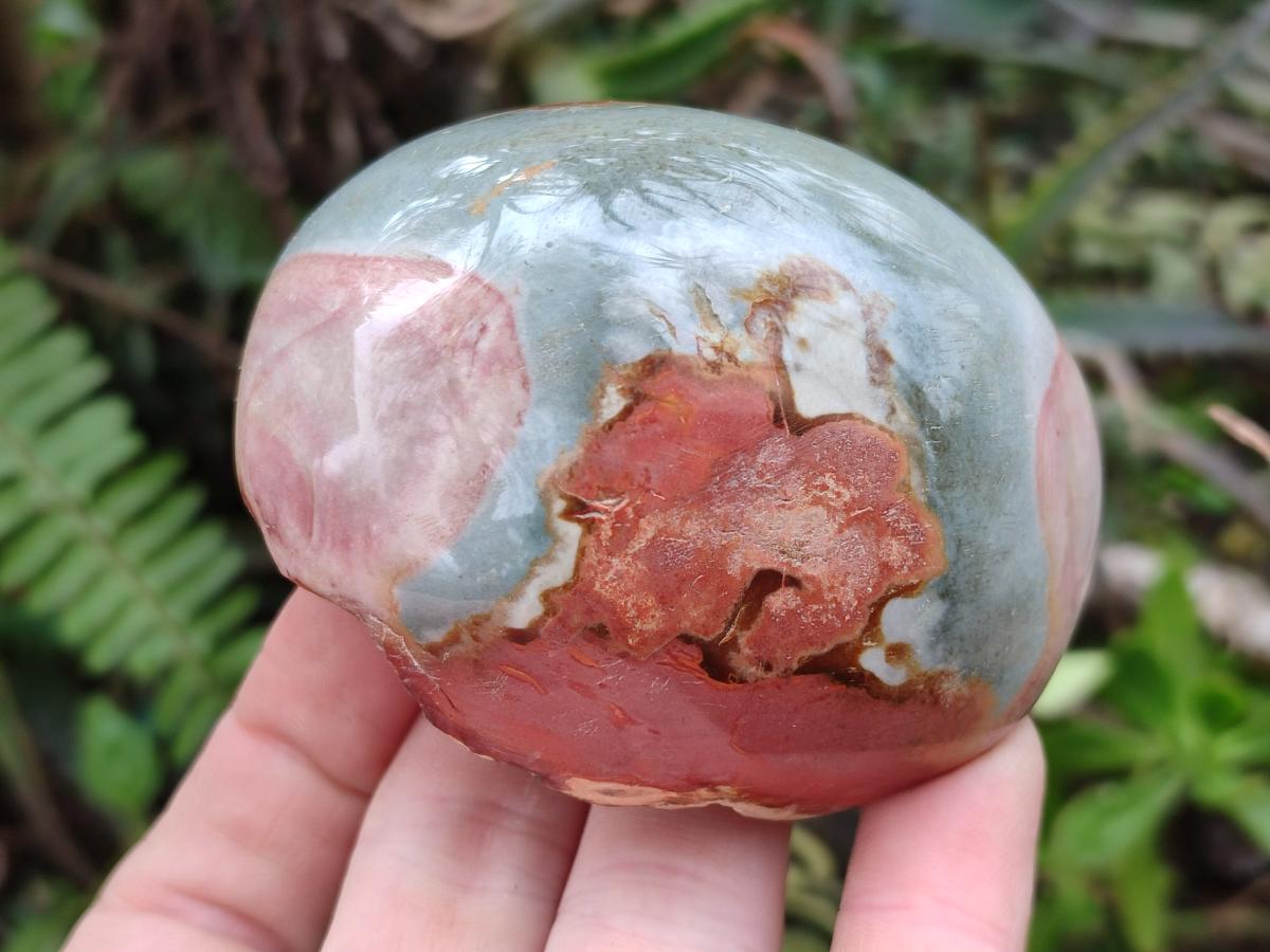 Polished on One Side Polychrome Jasper Nodules x 6 From Androka, Madagascar - Toprock Gemstones and Minerals 